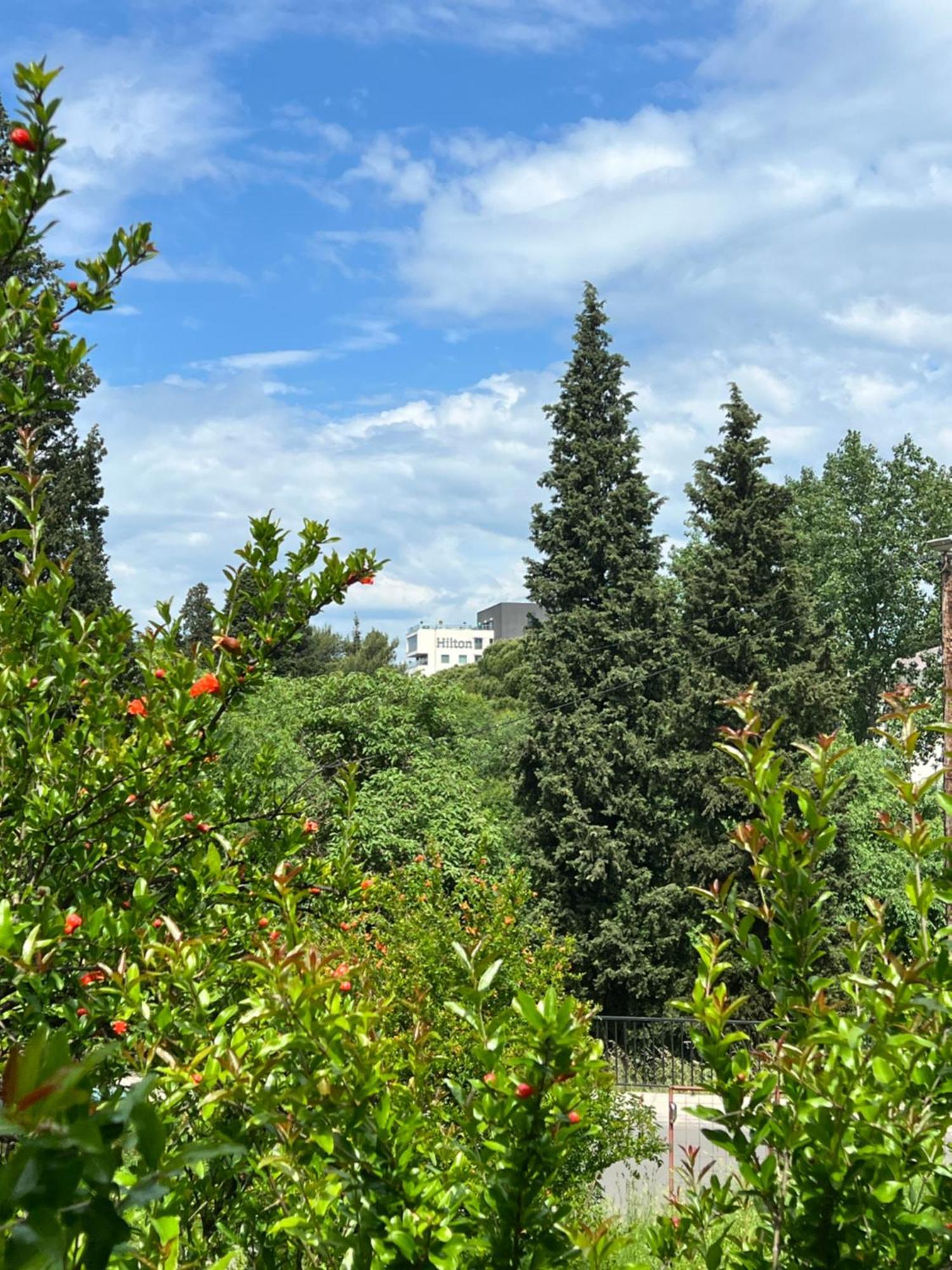 Central Park Apartment Podgorica Ngoại thất bức ảnh